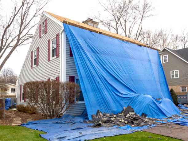 Best Shed Removal  in Summit, IL