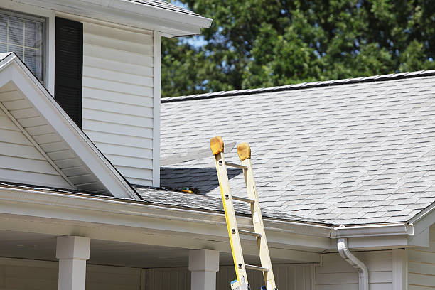 Best Hoarding Cleanup  in Summit, IL